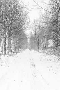 White road von Maurice Hertog