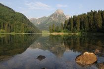 Am Obersee by Bruno Schmidiger