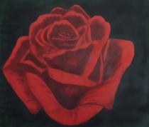 Rose von Marija Di Matteo