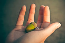 Life into the Palm of your Hand von loriental-photography