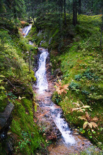 Schmaler Wasserfall im Schwarzwald von Sabine Radtke