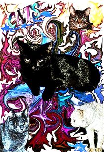 ~ CATS ~ by Sandra  Vollmann
