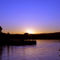 Cowbay-sunset-july2015