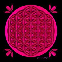 Flower Of Life - Pink by David Voutsinas