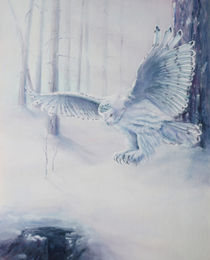 Snowy Owl von wenslow