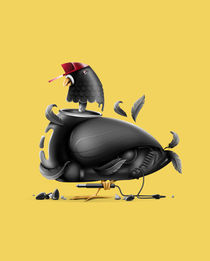 Street Pigeon by Vytis Vasiliunas