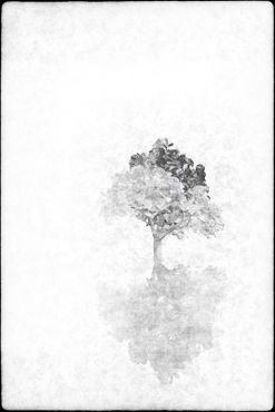 Drzewo-swiatow2-biale-drzewo
