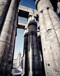 the Hypostyle Hall Luxor Temple Egypt by Sean Burke