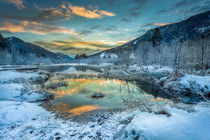 Sunrise at winter Zelenci IV by Bor Rojnik