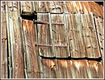 ~ Wooden Grain Old Door ~ by Sandra  Vollmann