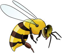 Bee von William Rossin