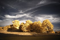 Herbstliche Landschaft in infrarot by flylens
