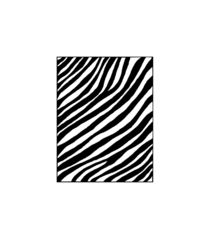 Zebra by cinema4design