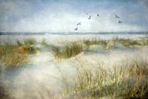 Beach Dreams von Annie Snel - van der Klok