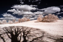 Landschaft mit Schatten in infrarot by flylens