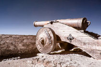 Historische Kanone in infrarot by flylens