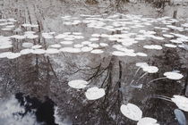 Teich in infrarot von flylens