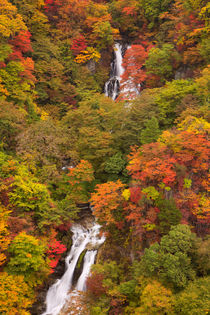 Kirifuri Falls near Nikko, Japan in autumn by Sara Winter