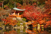 Autumn colours at Daigo-ji Temple in Kyoto, Japan by Sara Winter