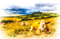 Resting Cows Art von David Pyatt