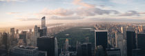 Central Park Panorama by Alexander Stein