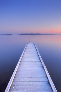 Jetty on a still lake in winter in The Netherlands by Sara Winter