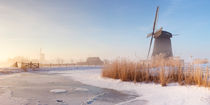 Dutch windmills in a foggy winter landscape in the morning by Sara Winter