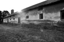 Ruine in Serbien von Christina Beyer