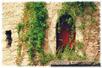 Old Door by mario-s