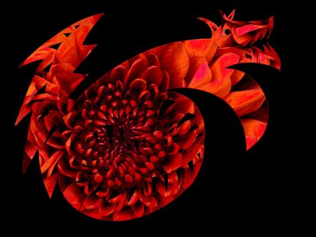 Flowery-dragon-wolf-dot-gr