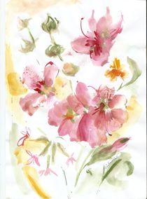rosa flowers von Ioana  Candea