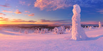 Sunset over frozen trees on a mountain, Levi, Finnish Lapland von Sara Winter