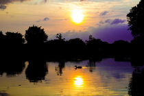 Sun Going Down Over Eaton Park Lake von Vincent J. Newman