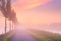 Foggy sunrise in typical polder landscape in The Netherlands von Sara Winter