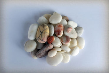 White-pebbles-bun