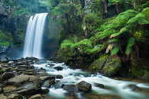 'Rainforest waterfalls, Hopetoun Falls, Great Otway NP, Victoria, Australia' by Sara Winter
