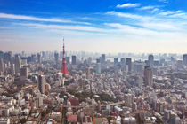 Skyline of Tokyo, Japan with the Tokyo Tower, from above by Sara Winter
