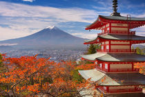 Chureito pagoda and Mount Fuji, Japan in autumn by Sara Winter