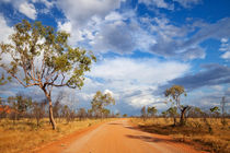 Unsealed road in the outback of Western Australia by Sara Winter