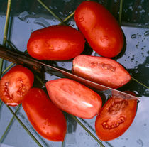 Saftige Tomaten. by li-lu