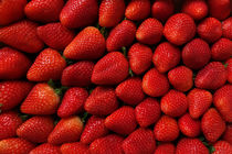 Erdbeeren von darlya