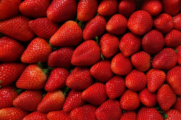 Erdbeeren-formatfuellend
