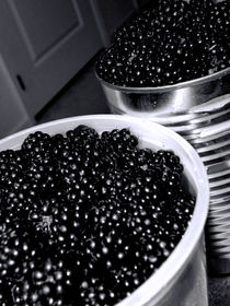 Blackberries von O.L.Sanders Photography