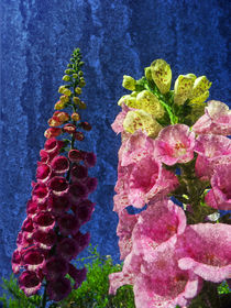  Two Foxglove flowers on texture reaching for the sky. by Robert Gipson