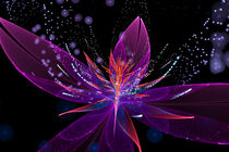 Violetter Lotus von Viktor Peschel