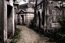 Highgate Cemetery by Giorgio Giussani