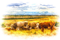 The Friendly Cows Art by David Pyatt
