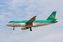Aer Lingus Airbus A319 by David Pyatt