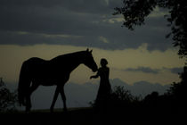 Silhouette of girl with horse at night von anja-juli