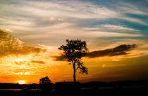 Nice Sunset by Mauricio Santana